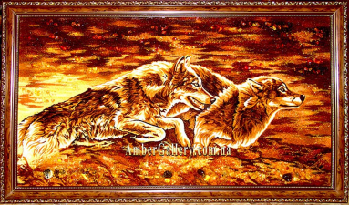  Wolves on the hunt (13)