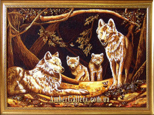  Wolf family (15)