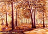 A park (114)
