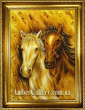 Pair of horses (59)